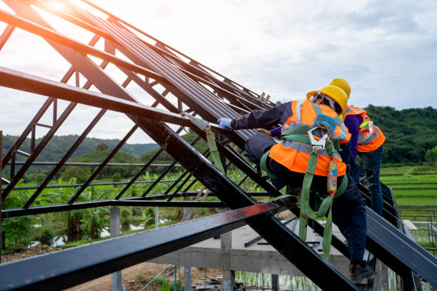 Best Roof Gutter Cleaning  in Waupaca, WI