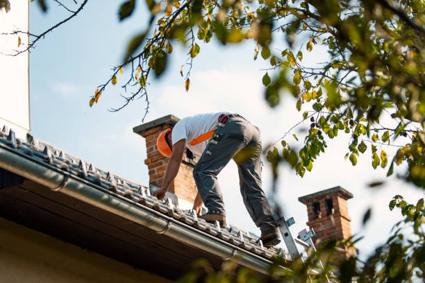 Professional Roofing Contractor in Waupaca, WI