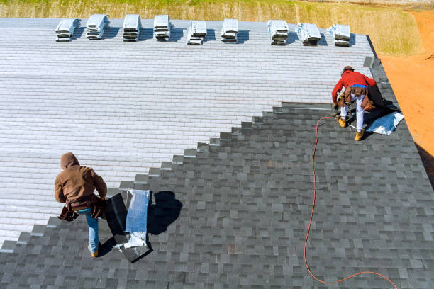 Best Metal Roofing Contractor  in Waupaca, WI